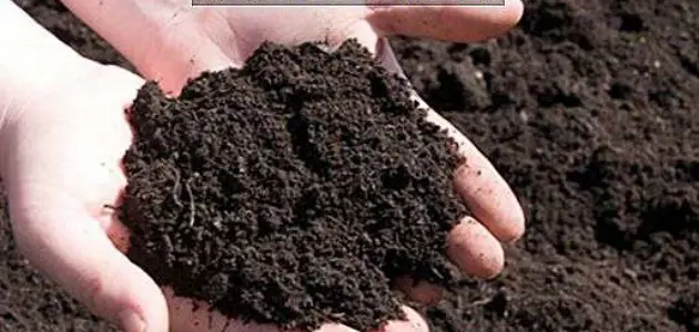 التربة الطينية في الزراعة