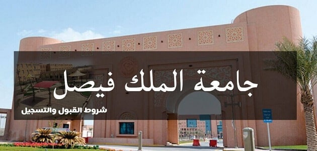 جدول جامعة الملك فيصل وأهم الكليات الموجودة بها ونظام الدراسة بها