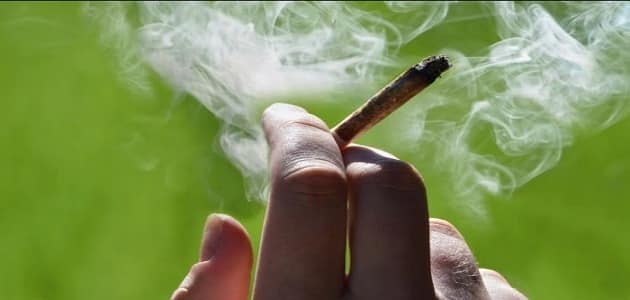 ما العلاقة بين تدخين الماريجوانا وسرطان الخصية