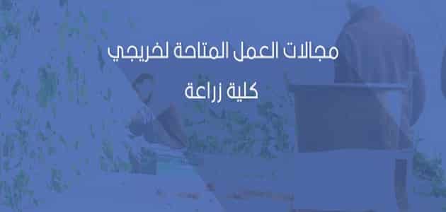 ما هي وظائف المتاحة لخريجي كلية الزراعة في مصر