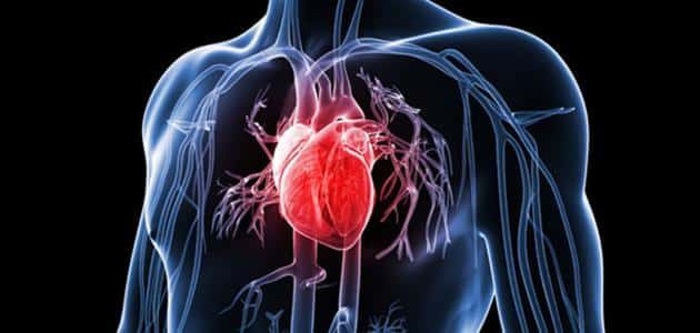 أعراض مرض القلب وعلاجه
