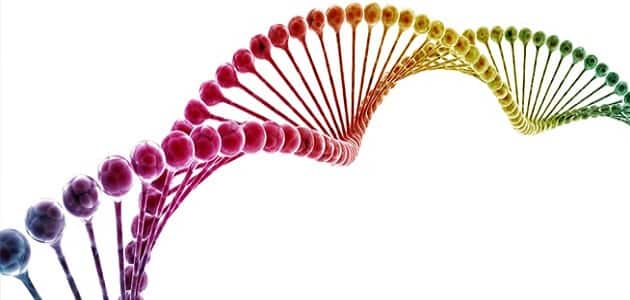 الحمض النووي dna والمعلومات الوراثية