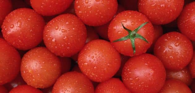 انواع الطماطم واسمائها
