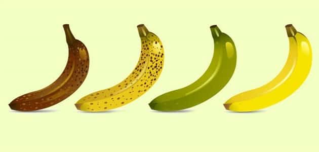 انواع الموز وفوائده