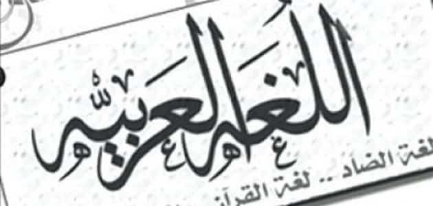 جماليات اللغة العربية في القران