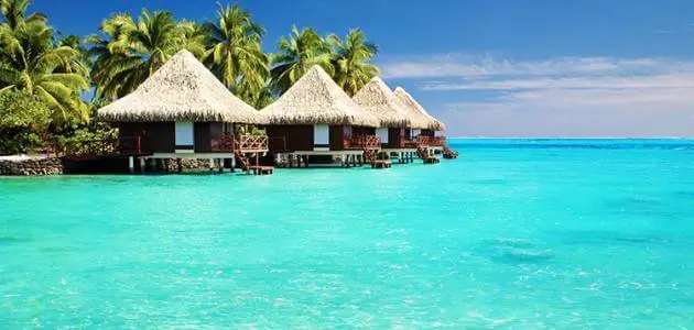 سعر تذكرة جزر المالديف مصر للطيران ؟
