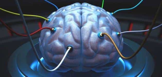 علاج كهرباء المخ طبيعيا