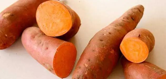 فوائد البطاطا الحلوة للمعدة