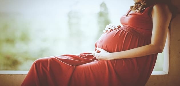 فوائد البلح الناشف للحامل