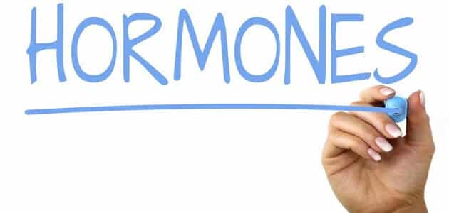 ما هي الهرمونات وما وظيفتها