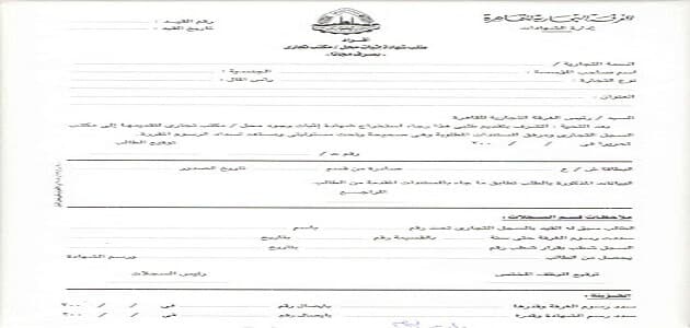 نموذج سجل تجاري مصري pdf