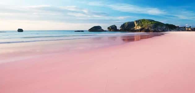 جزر البهاما الشاطئ الوردي