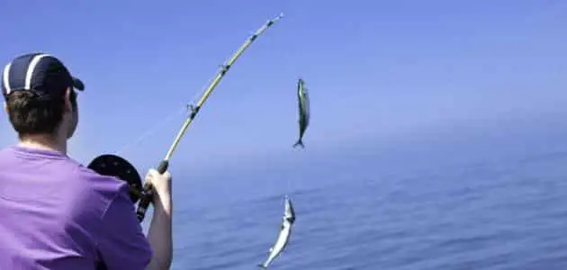 تفسير حلم صيد الأسماك