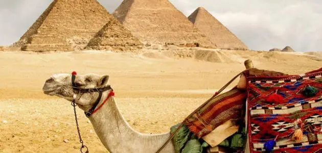ما أهم أنواع السياحة في مصر؟