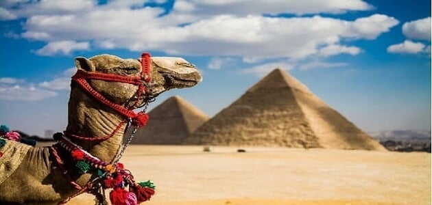 موضوع تعبير عن السياحة في مصر للصف الخامس الابتدائي والخاتمه