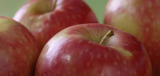 اكل التفاح وفوائده للبشرة