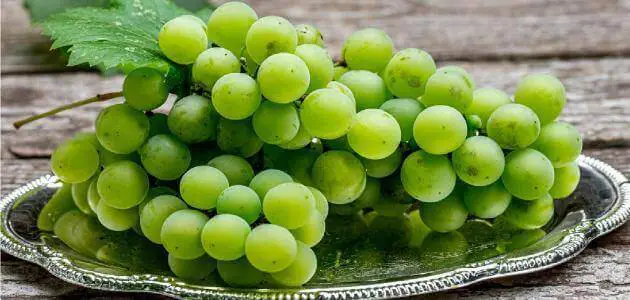 تفسير حلم أكل العنب الأخضر للمتزوجة