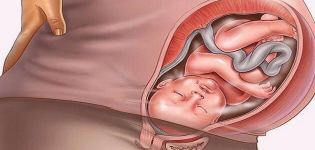 حالة الحامل والجنين في الشهر التاسع من الحمل