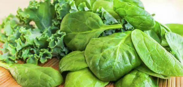 فوائد الخضروات الورقية الخضراء