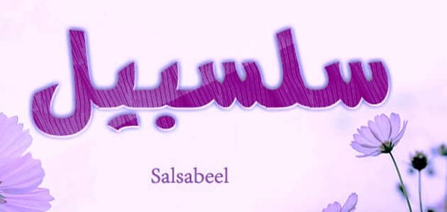معنى اسم سلسبيل Salsabil وصفاتها وعيوبها وحظها