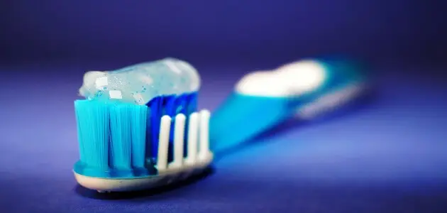 مخترع فرشاة الاسنان والتسلسل الزمني لاختراع فرشاة الاسنان