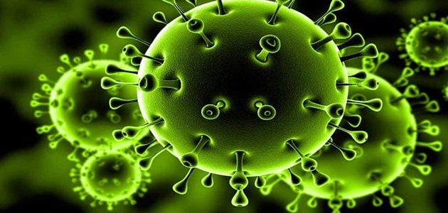 احتياطات الوقاية من فيروس كورونا المستجد