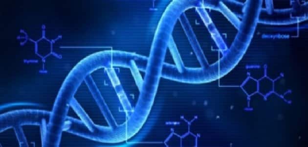 رجيم البصمة الوراثية والأدلة الجنائية