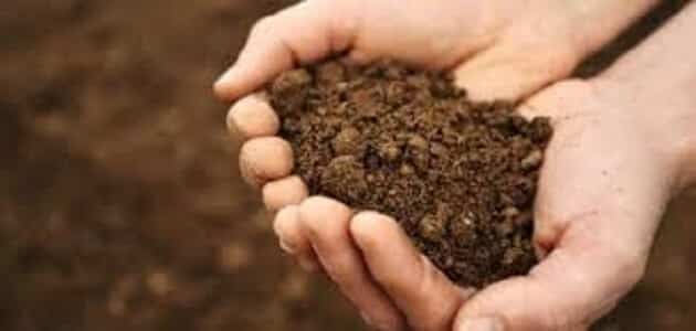 ما خصائص التربة الجيدة للزراعة؟