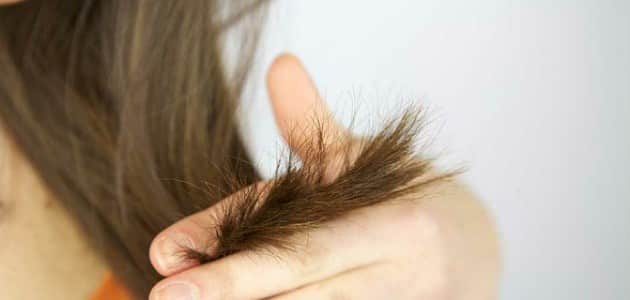 أسرع 10 خلطات طبيعية للتخلص من تقصف الشعر