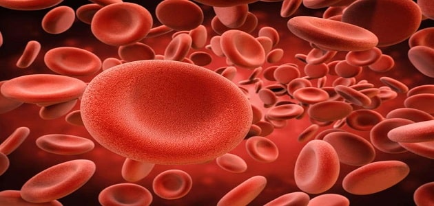 دواء فيروجلوبين Feroglobin لعلاج فقر الدم