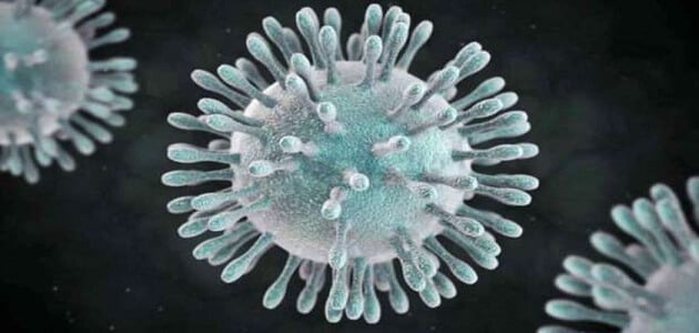 كم نوع من فيروس كورونا مكتشف ؟
