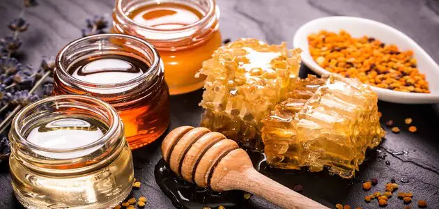 مقدمة عن العسل وفوائده