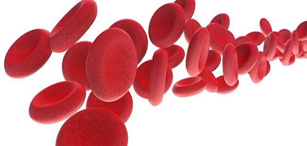 هل التهاب الدم هو سرطان الدم وما اعراضه
