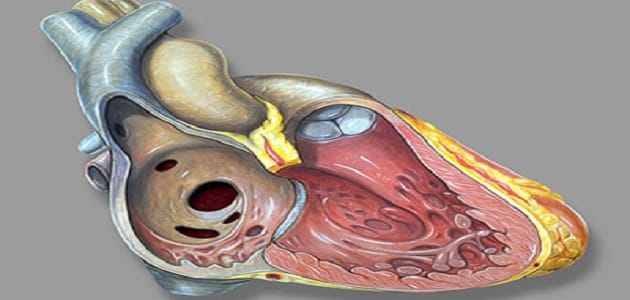 هل ثقب القلب خطير يؤدي للوفاة؟
