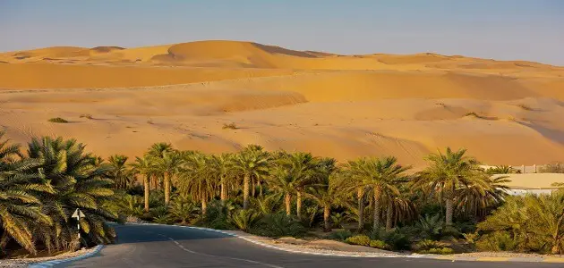 هيئة البيئة والمحميات الطبيعية أبو ظبي