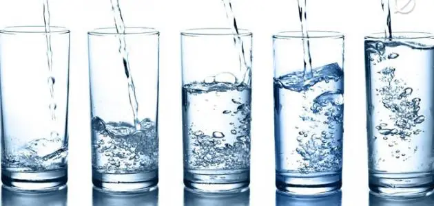 المصادر الثلاثة التي يحصل الجسم منها على الماء