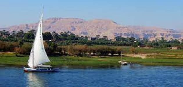 ما النتائج المترتبة على تلوث نهر النيل
