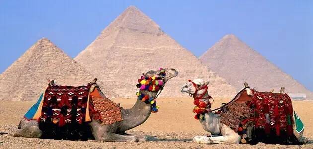 مقترحات لتنشيط السياحة في مصر