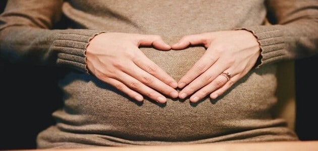 تفسير حلم الحمل لابن سيرين - مقال