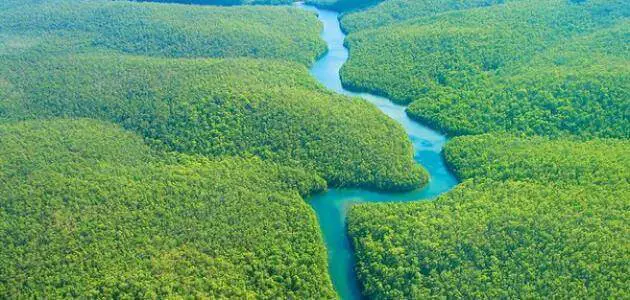 موضوع عن أهمية غابات الأمازون
