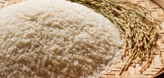 هل الأرز البني يحتوي على جلوتين؟