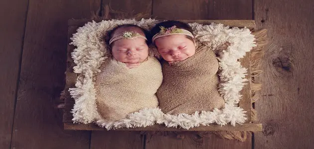 Interpretasie van 'n droom oor die sien van tweelingmeisies vir 'n swanger vrou - artikel