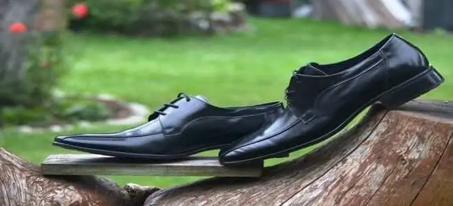 الحذاء الأسود في المنام للعزباء