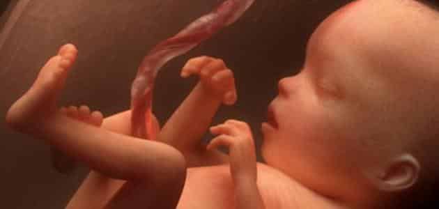 تفسير حلم موت الجنين داخل الرحم للحامل