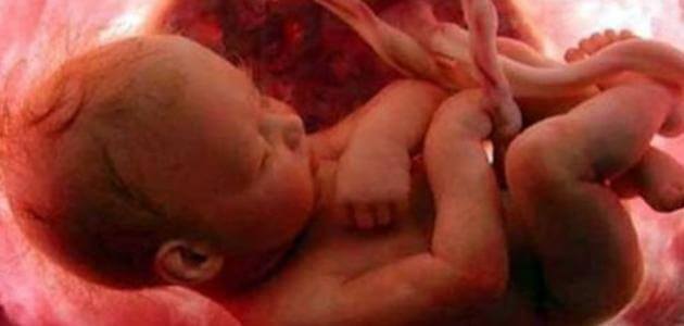 تفسير حلم جنين يتحرك في البطن للحامل - مقال