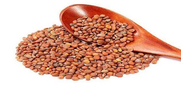 Kako uporabljati semena kreše pri hrapavosti kolen - članek