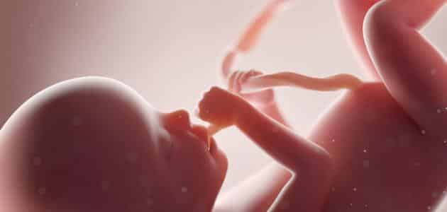 تفسير حلم خروج الجنين من البطن للحامل