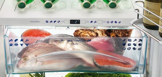 رؤية السمك في الثلاجة في المنام