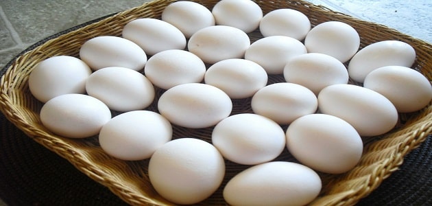 شراء البيض في المنام للعزباء