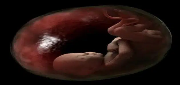 كيف أعرف اتجاه رأس الجنين في الشهر التاسع